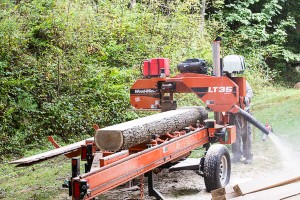 Cutting White oak bridge timbers   